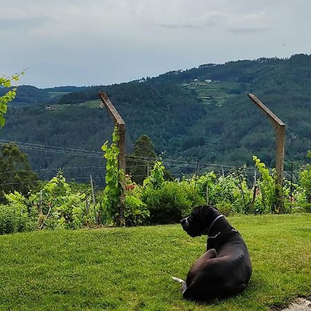 Вилла Casa Da Vina - Ribeira Sacra Ногейра-де-Рамуин Экстерьер фото