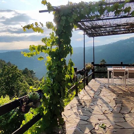 Вилла Casa Da Vina - Ribeira Sacra Ногейра-де-Рамуин Экстерьер фото