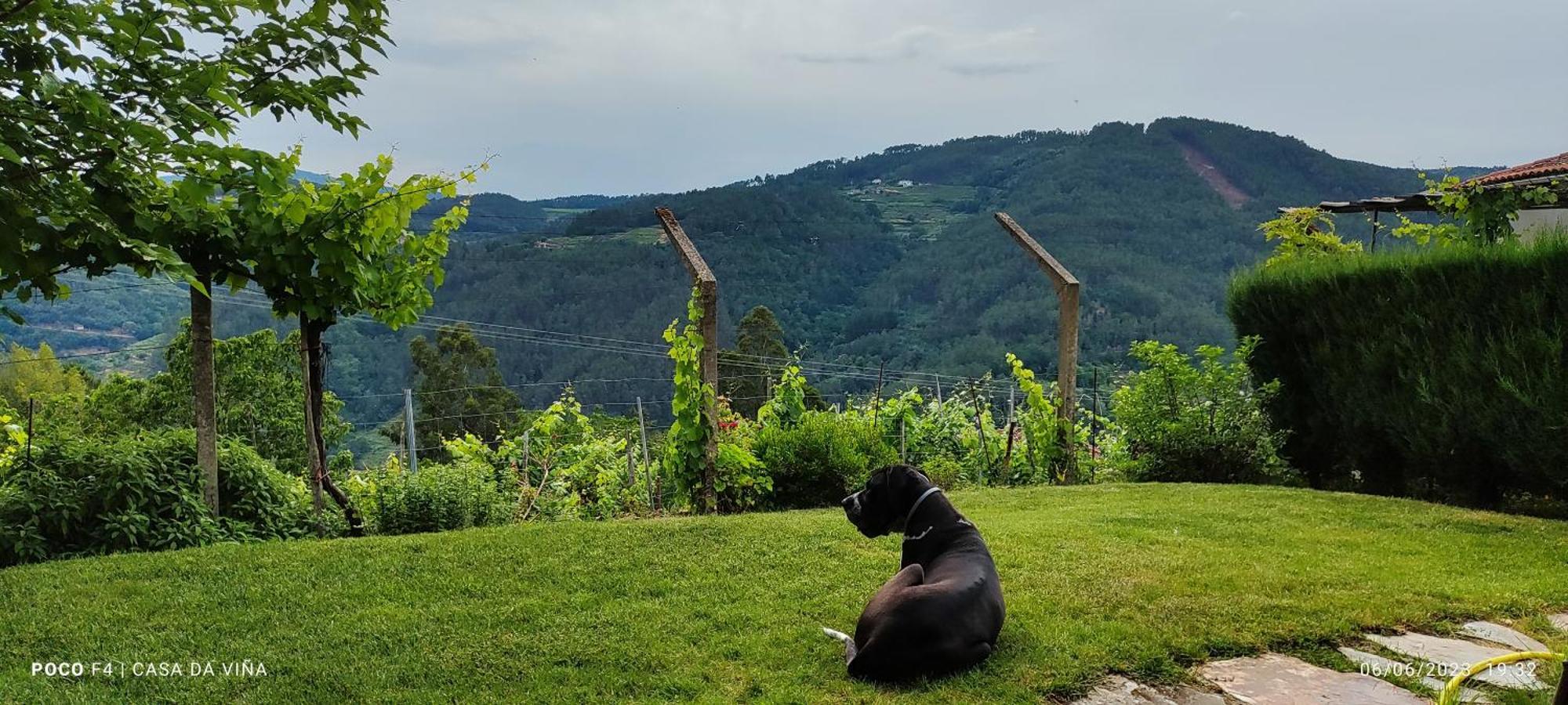 Вилла Casa Da Vina - Ribeira Sacra Ногейра-де-Рамуин Экстерьер фото