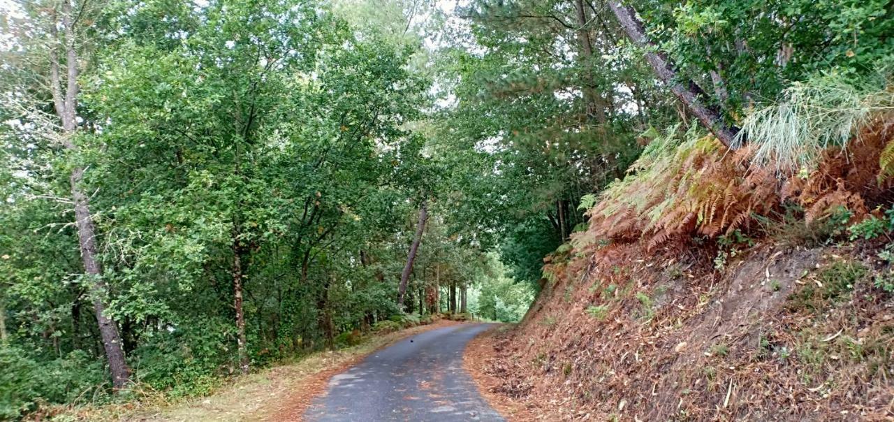 Вилла Casa Da Vina - Ribeira Sacra Ногейра-де-Рамуин Экстерьер фото