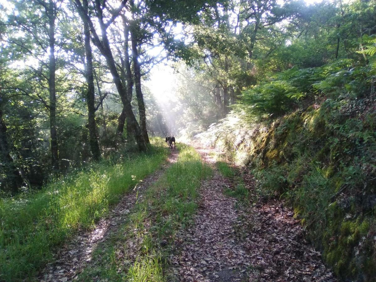 Вилла Casa Da Vina - Ribeira Sacra Ногейра-де-Рамуин Экстерьер фото