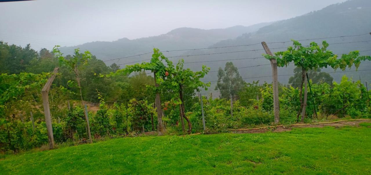 Вилла Casa Da Vina - Ribeira Sacra Ногейра-де-Рамуин Экстерьер фото