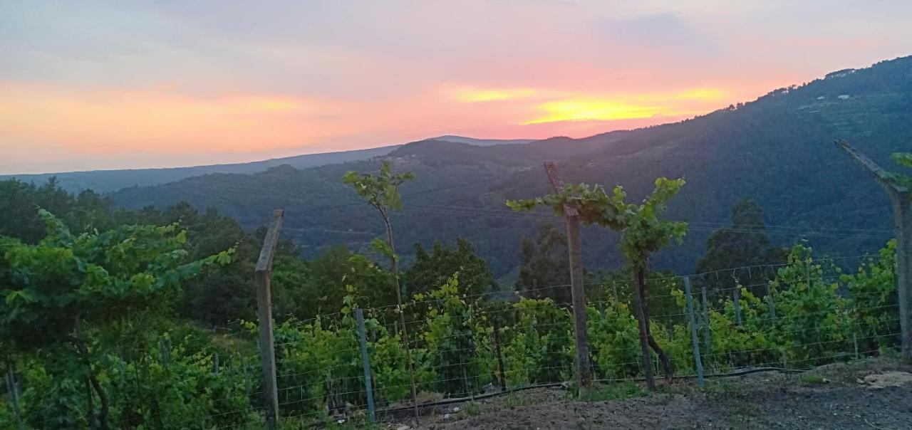 Вилла Casa Da Vina - Ribeira Sacra Ногейра-де-Рамуин Экстерьер фото