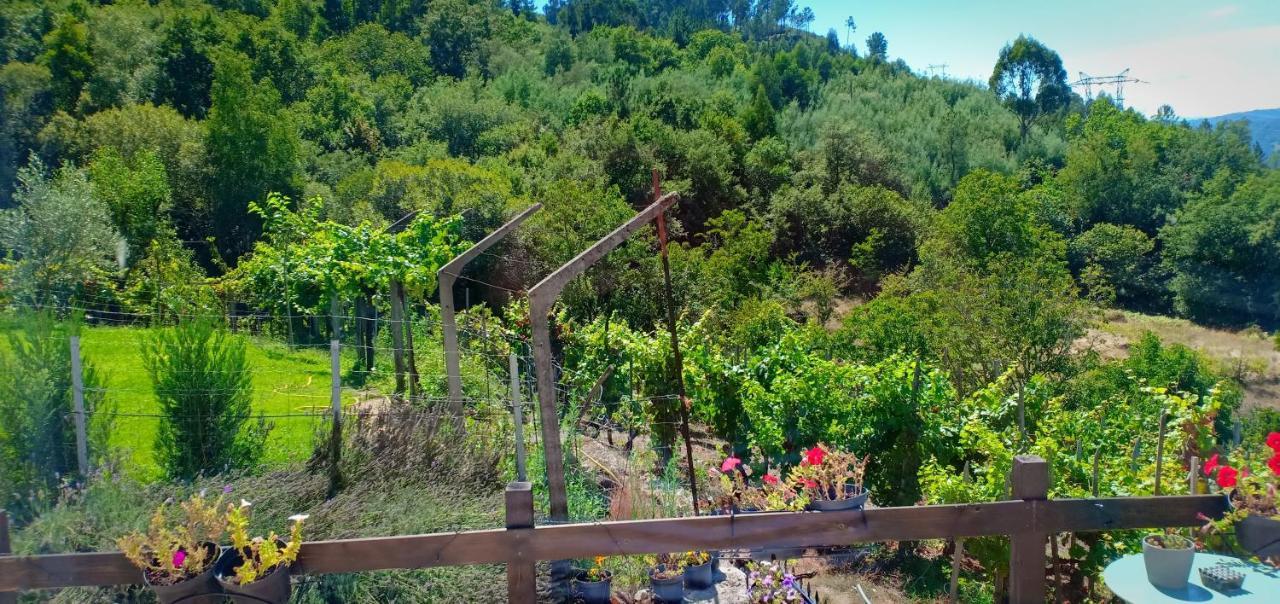 Вилла Casa Da Vina - Ribeira Sacra Ногейра-де-Рамуин Экстерьер фото